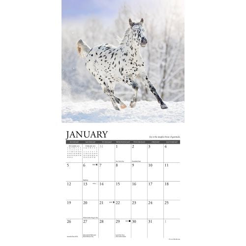 2025 What Horses Teach Us Mini Wall Calendar