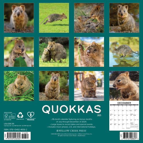 2025 Quokkas Wall Calendar by  Willow Creek Press from Calendar Club