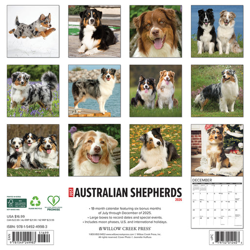 Australian Shepherds 2026 Square Wall Calendar