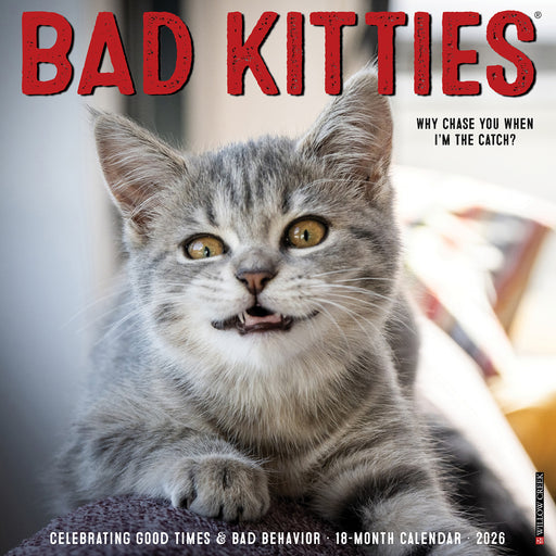 Bad Kitties 2026 Square Wall Calendar