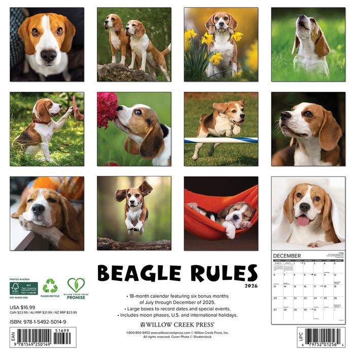 Beagle Rules 2026 Square Wall Calendar