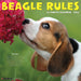 Beagle Rules 2026 Square Wall Calendar