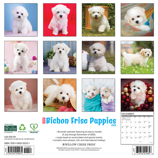 Bichon Frise Puppies 2026 Square Wall Calendar