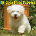 Bichon Frise Puppies 2026 Square Wall Calendar