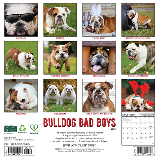 Bulldog Bad Boys 2026 Square Wall Calendar