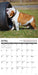 Bulldog Bad Boys 2026 Square Wall Calendar
