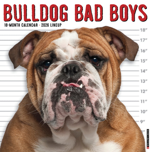 Bulldog Bad Boys 2026 Square Wall Calendar