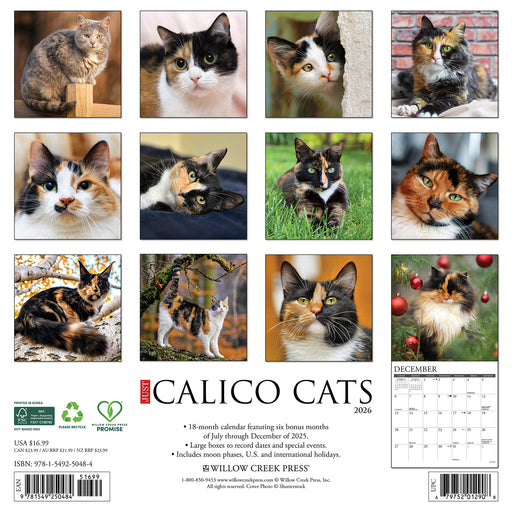 Calico Cats 2026 Square Wall Calendar