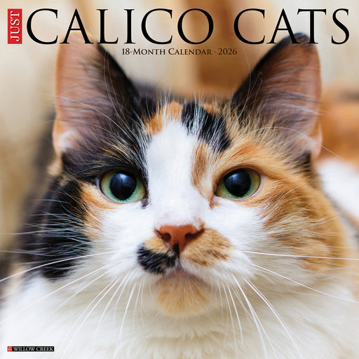 Calico Cats 2026 Square Wall Calendar