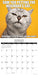 Catastrophe 2026 Square Wall Calendar