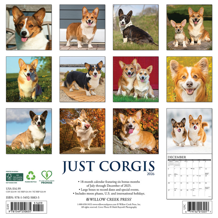 Corgis 2026 Square Wall Calendar