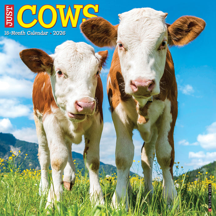 Cows 2026 Square Wall Calendar