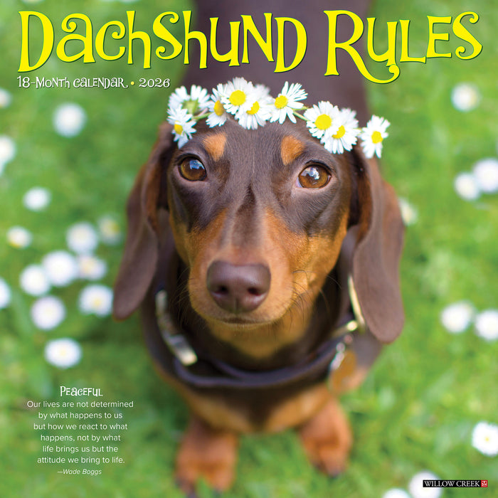 Dachshund Rules 2026 Square Wall Calendar