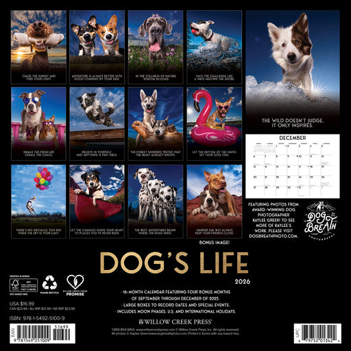 Dog's Life 2026 Square Wall Calendar