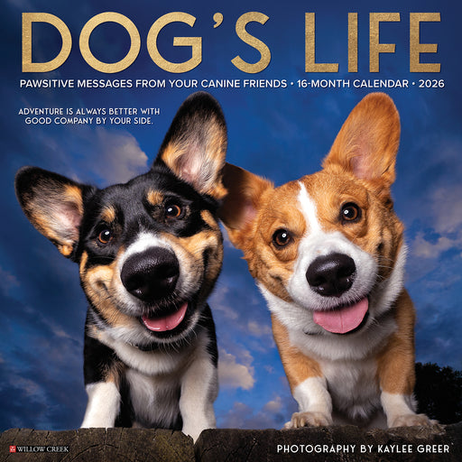 Dog's Life 2026 Square Wall Calendar
