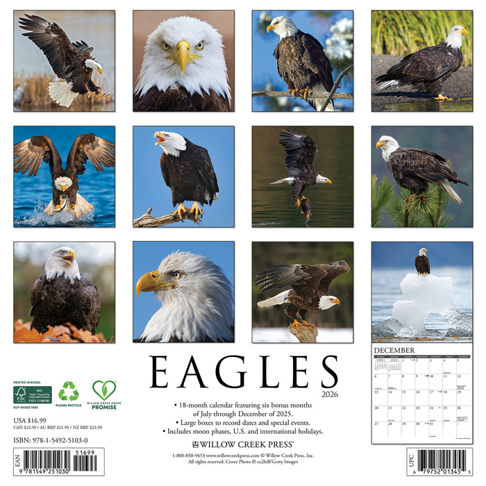Eagles 2026 Square Wall Calendar (Online Exclusive)