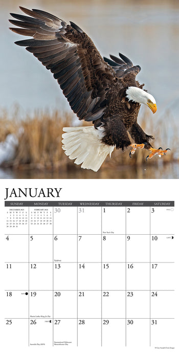 Eagles 2026 Square Wall Calendar (Online Exclusive)