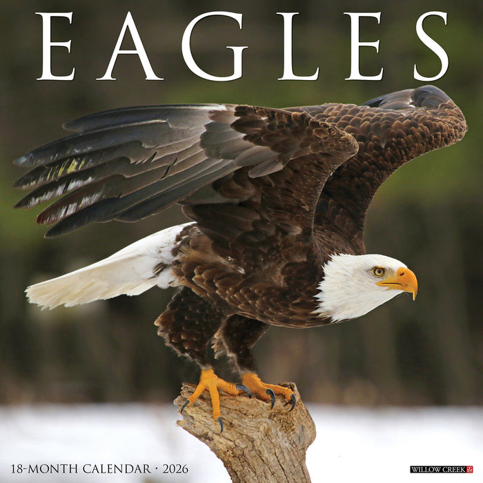 Eagles 2026 Square Wall Calendar (Online Exclusive)