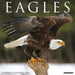 Eagles 2026 Square Wall Calendar (Online Exclusive)