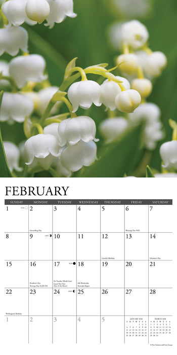 Flowers 2026 Square Wall Calendar