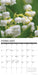 Flowers 2026 Square Wall Calendar