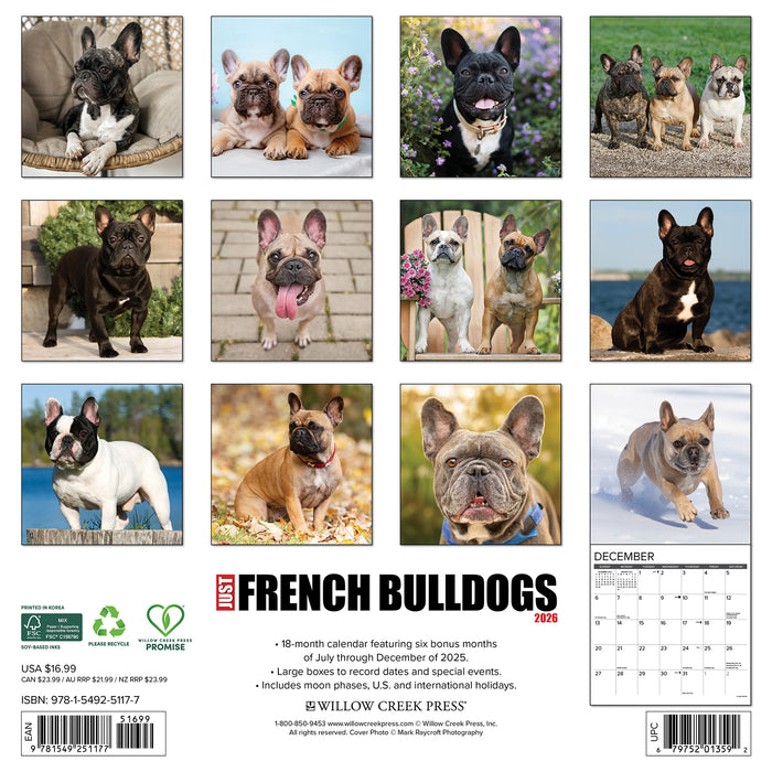 French Bulldogs 2026 Square Wall Calendar