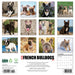French Bulldogs 2026 Square Wall Calendar