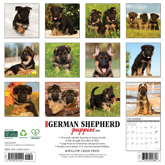 German Shepherd Puppies 2026 Square Wall Calendar