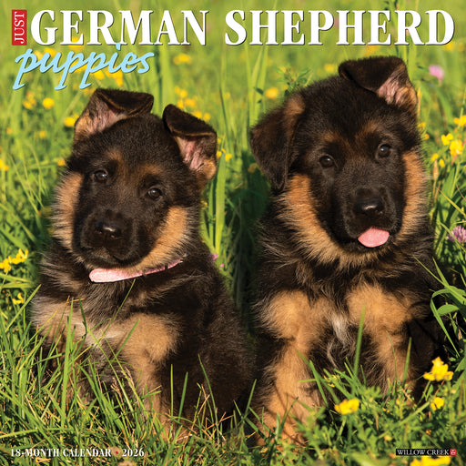 German Shepherd Puppies 2026 Square Wall Calendar