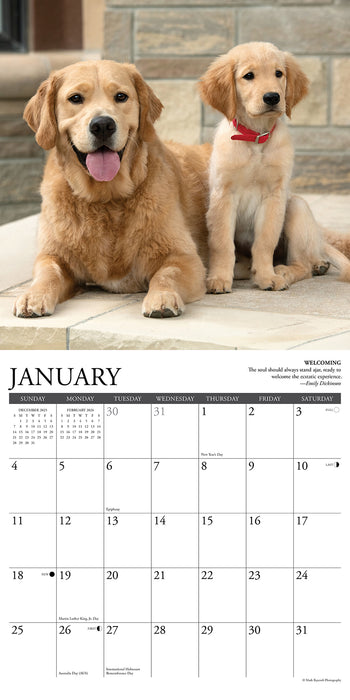 Golden Rules 2026 Square Wall Calendar