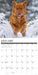 Goldens 2026 Square Wall Calendar