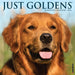 Goldens 2026 Square Wall Calendar