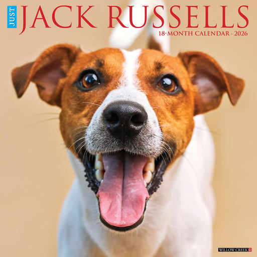 Jack Russells 2026 Square Wall Calendar