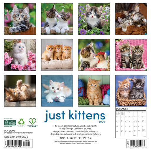 Kittens 2026 Square Wall Calendar
