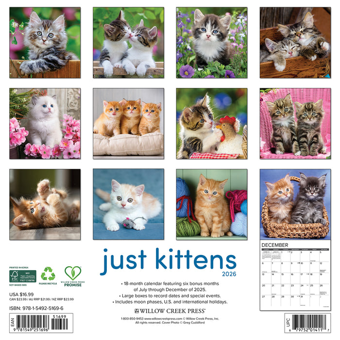 Kittens 2026 Square Wall Calendar