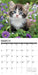 Kittens 2026 Square Wall Calendar