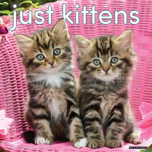 Kittens 2026 Square Wall Calendar