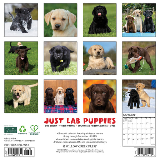 Lab Puppies 2026 Square Wall Calendar