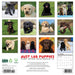 Lab Puppies 2026 Square Wall Calendar