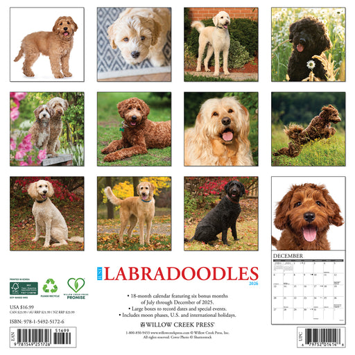 Labradoodles 2026 Square Wall Calendar