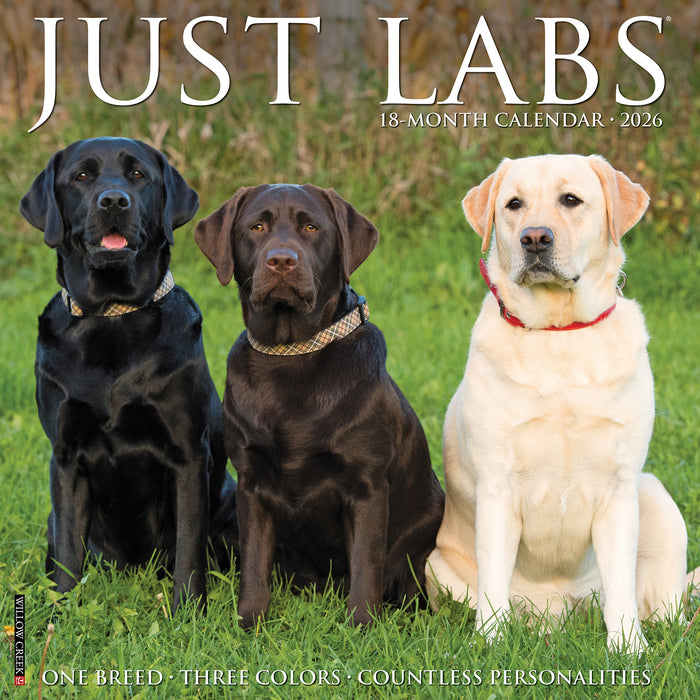Labs 2026 Square Wall Calendar