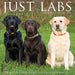 Labs 2026 Square Wall Calendar