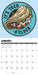 Let's Taco About It 2026 Square Wall Calendar