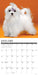 Maltese 2026 Square Wall Calendar