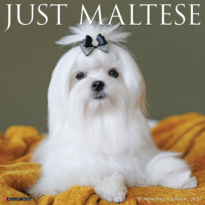 Maltese 2026 Square Wall Calendar