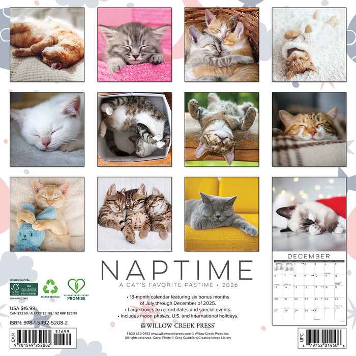 Naptime A Cat's Favorite Pastime 2026 Square Wall Calendar