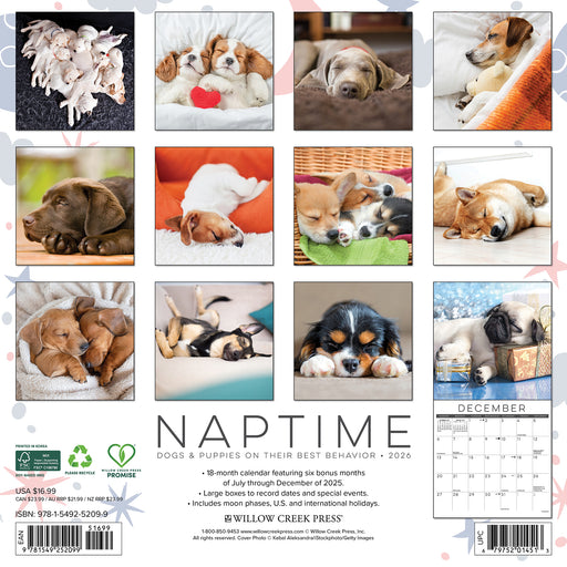 Naptime Dogs and Puppies on their Best Behavior 2026 Square Wall Calendar