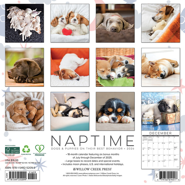 Naptime Dogs and Puppies on their Best Behavior 2026 Square Wall Calendar