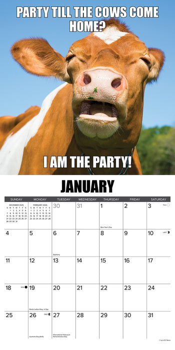 Not in the Mooood 2026 Square Wall Calendar