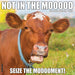 Not in the Mooood 2026 Square Wall Calendar
